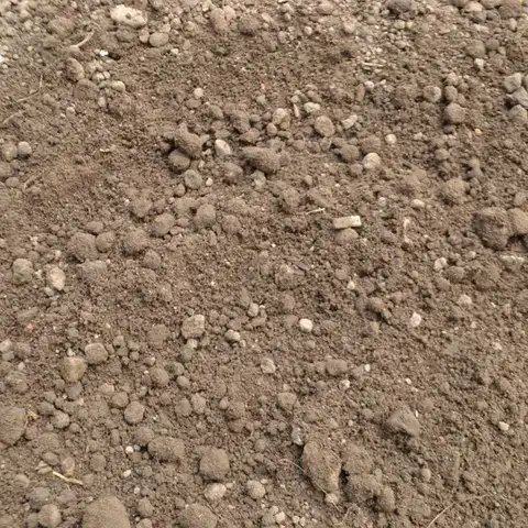 Screened topsoil close-up
